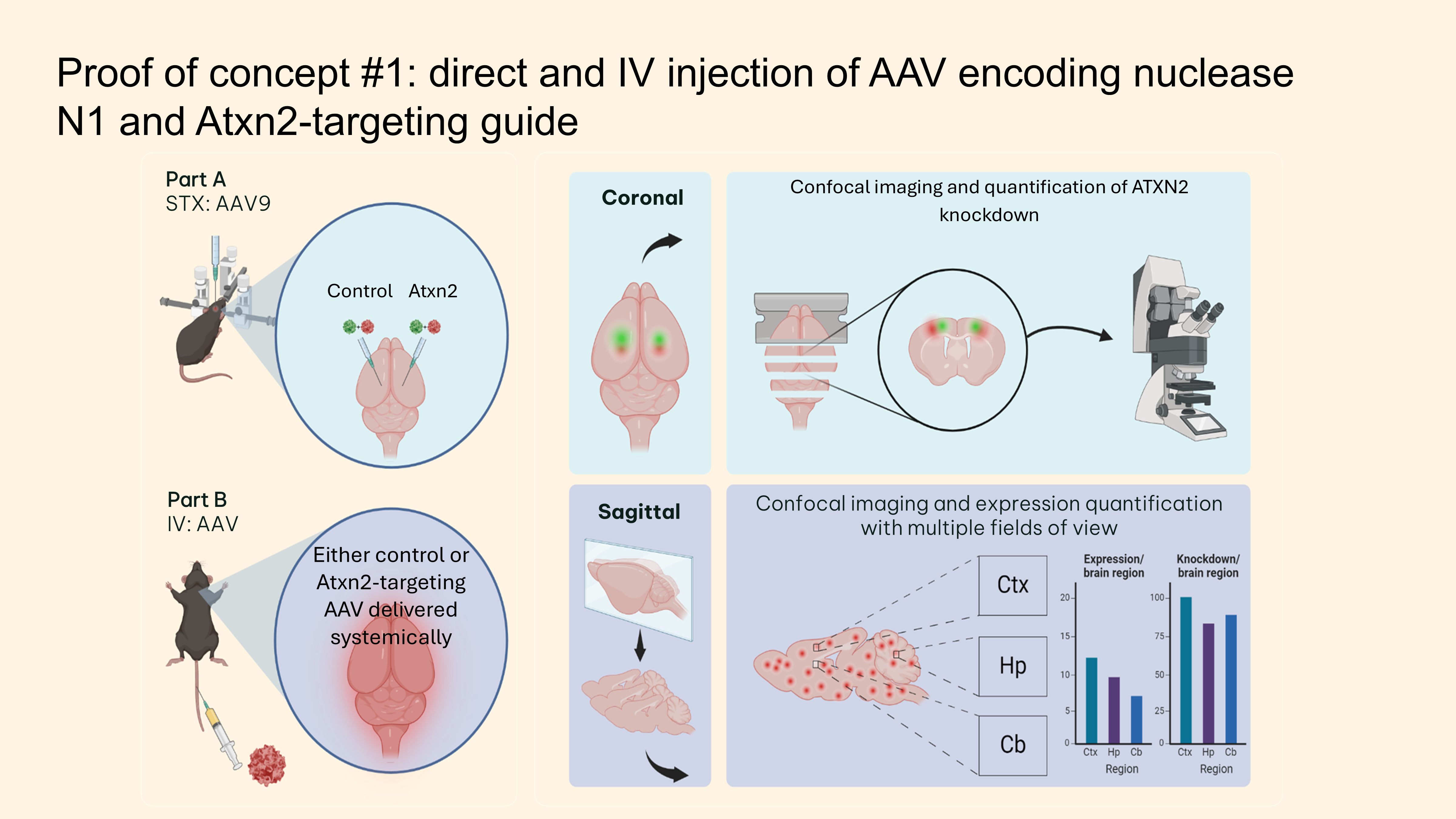POC direct and IV injection