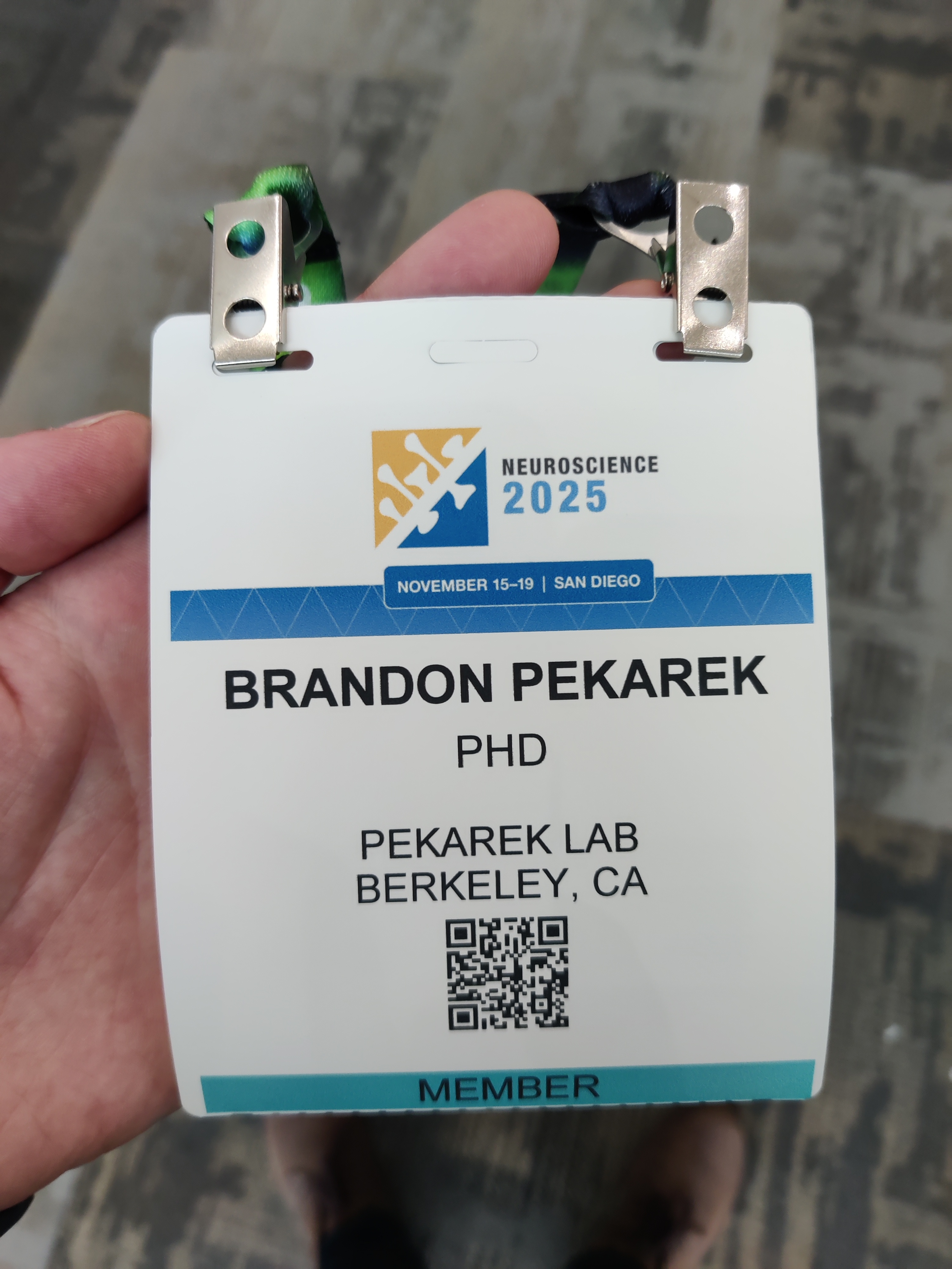 SfN 2025 Badge